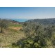 Properties for Sale_EXCLUSIVE FARMHOUSE TO RENOVATE WITH SEA VIEW in Fermo in the Marche in Italy in Le Marche_19